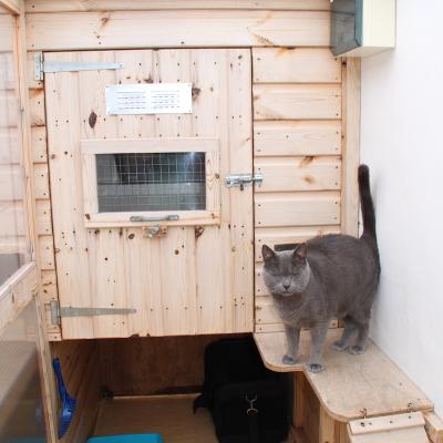 Appleby Country Cattery Chalet