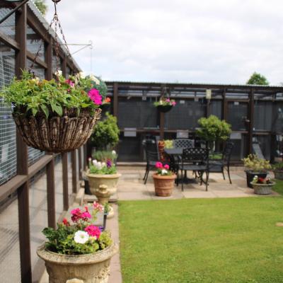 Appleby Country Cattery Chalet Gardens